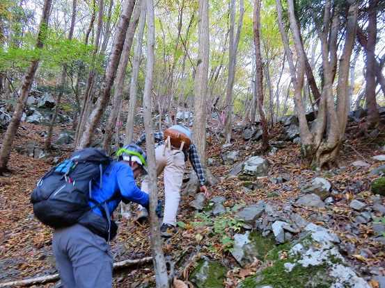 f:id:aohige0718:20171114200713j:plain 地蔵尾根浮石