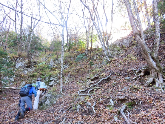 f:id:aohige0718:20171114200838j:plain 地蔵ノ頭を目指し進む