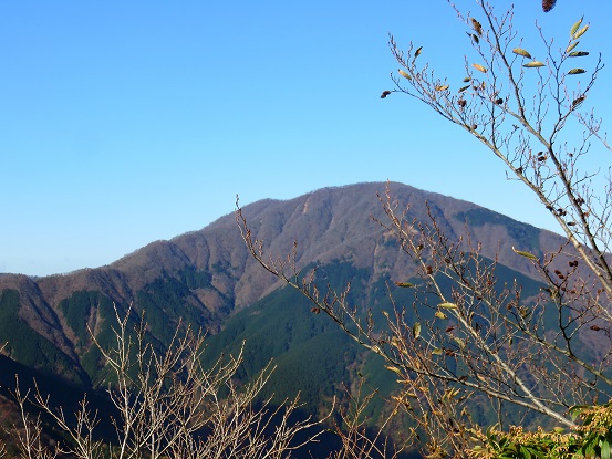 f:id:aohige0718:20171114200957j:plain 大室山