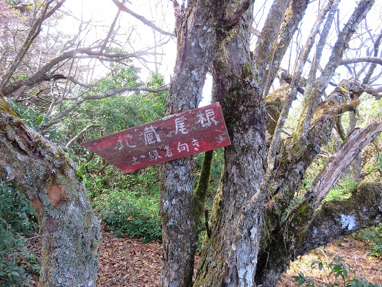 f:id:aohige0718:20171114201028j:plain 地蔵平にある地蔵尾根の案内道標