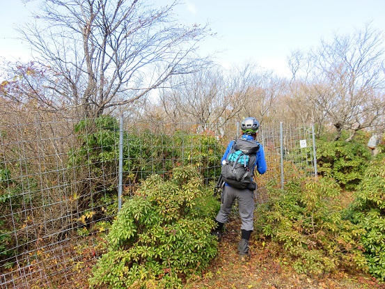 f:id:aohige0718:20171114201036j:plain 丹沢主脈縦走路