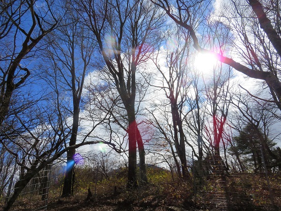 f:id:aohige0718:20171114201103j:plain 落葉した木々青空