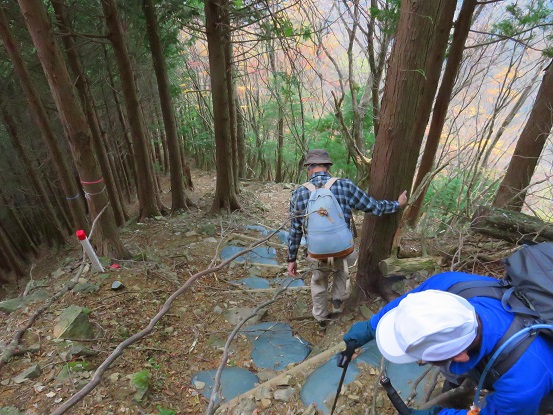 風巻尾根の急坂が始まり