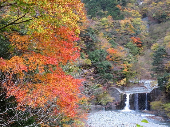 渓谷の紅葉