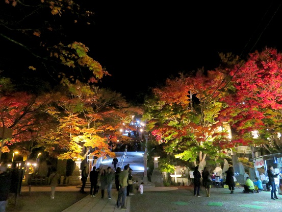 闇夜に照らされる紅葉祭り