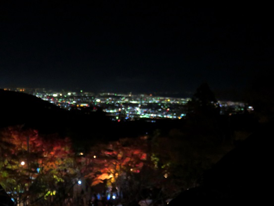 大山阿夫利神社下社からの夜景