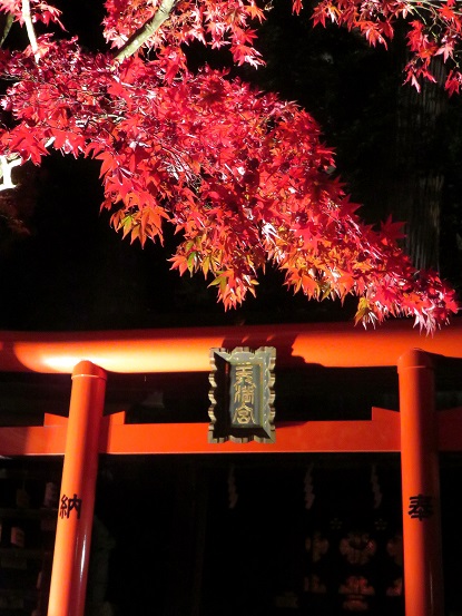 鳥居と紅葉