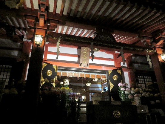 大山阿夫利神社下社菊の花