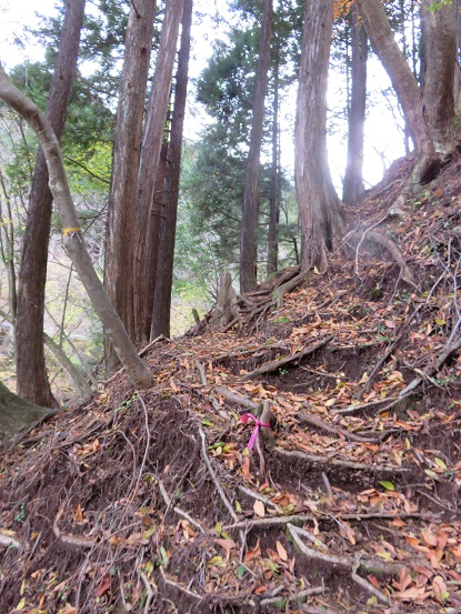 ヨモギ尾根の取り付き地点