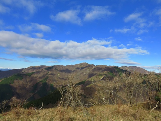 丹沢山塊の景色