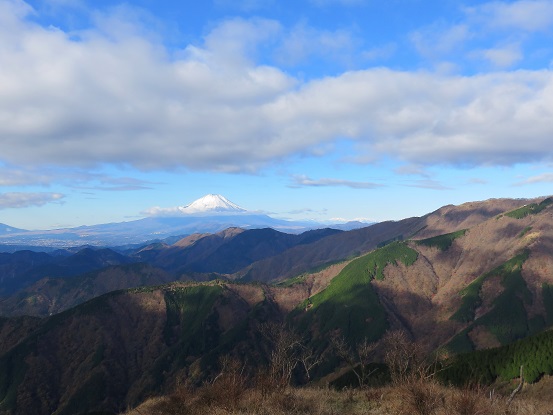 大倉尾根越しの富士山の景色