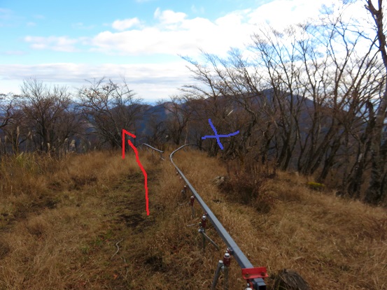 ヨモギ尾根赤矢印方面