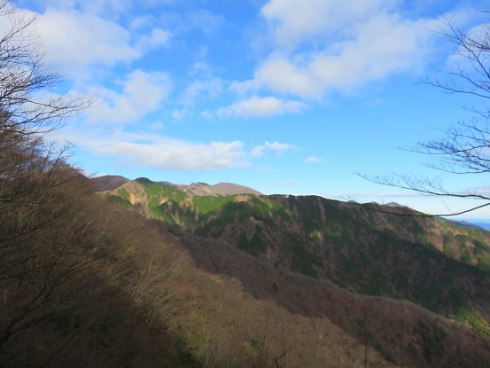 ヨモギ尾根から丹沢山方面