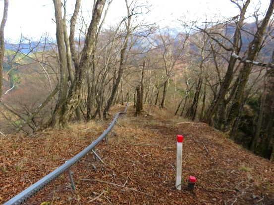ヨモギ尾根踏み跡