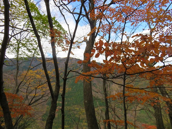 鮮やかさが欲しい紅葉