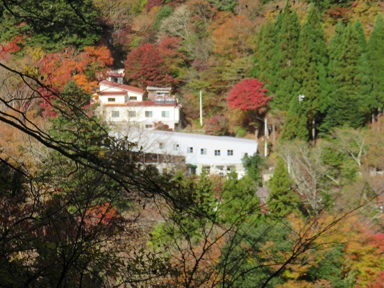 丹沢ホーム