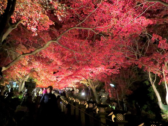 大山寺周辺は非常に混雑