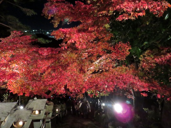 大山寺の参道の灯篭