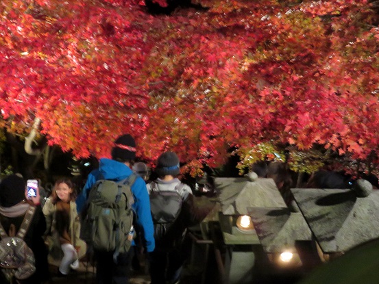 大山寺の参道の階段に人が多