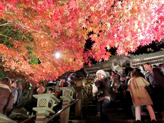 大山寺とモミジのコラボレーション