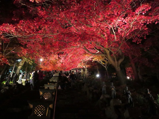 丹沢大山寺の参道