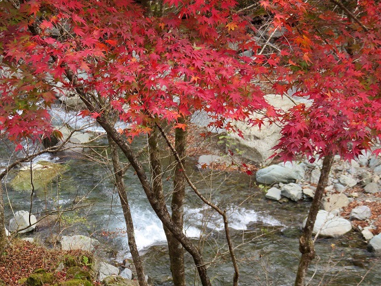 札掛川のせせらぎと紅葉