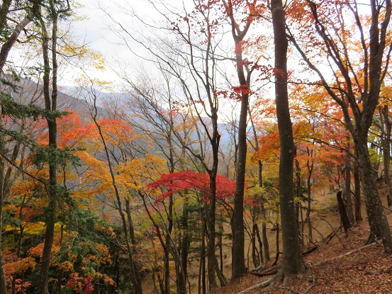 紅葉の美しさ