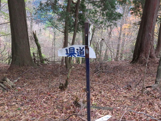 大山北尾根黒岩合流道標