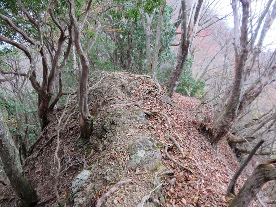 大山北尾根やせ尾根