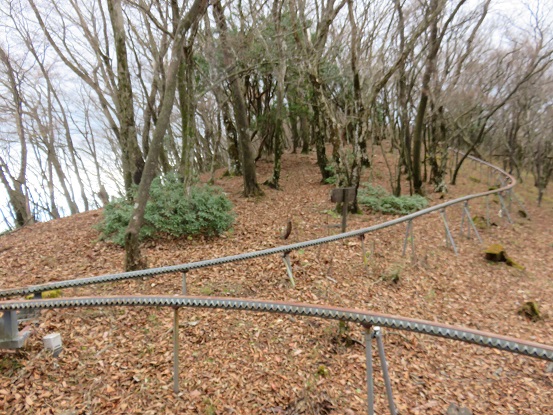 大山ネクタイ尾根