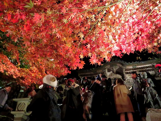 大山寺は凄い混雑