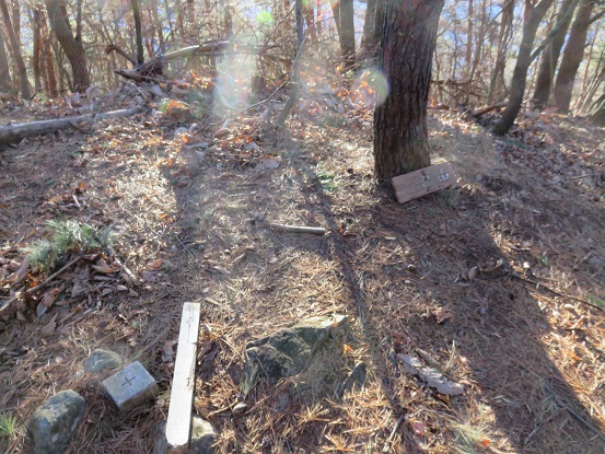 道満山(標高1,314ｍ）