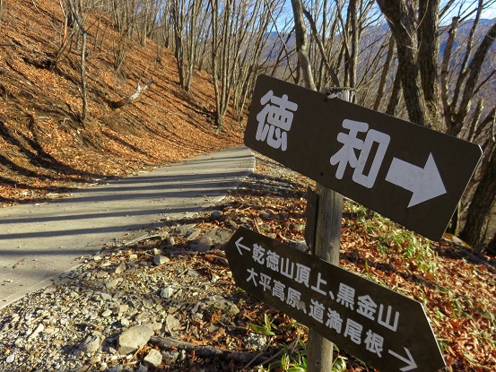 道満尾根ルート林道と交差