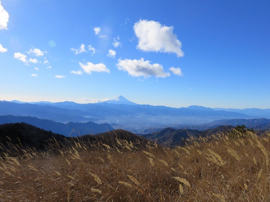 扇平からの富士山の風景