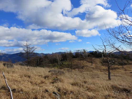 扇平周辺の様子