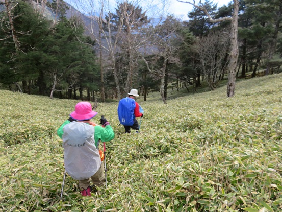 で大ダオから長尾ノ滝、徳和へ下山