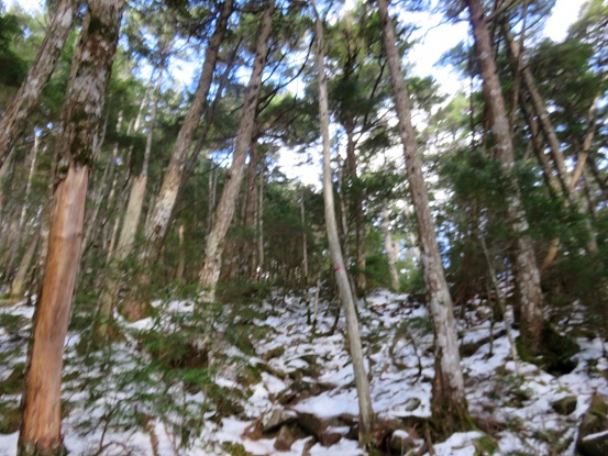 笠盛山から黒金山へ