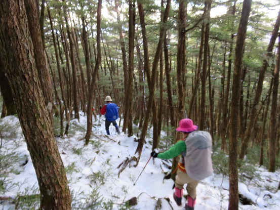 大ダオの分岐登山道