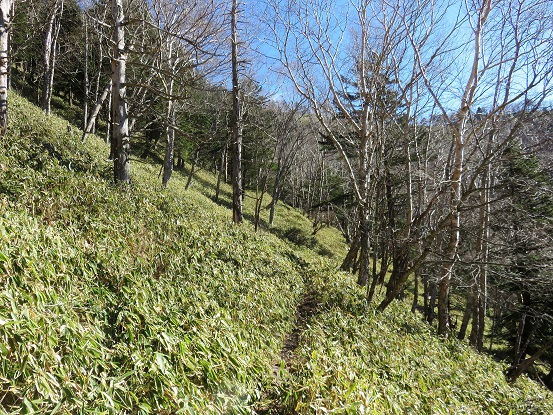 登山道の傾斜が緩く