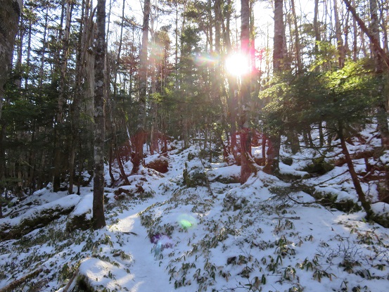 f:id:aohige0718:20171128232044j:plain 水晶山方面のルート