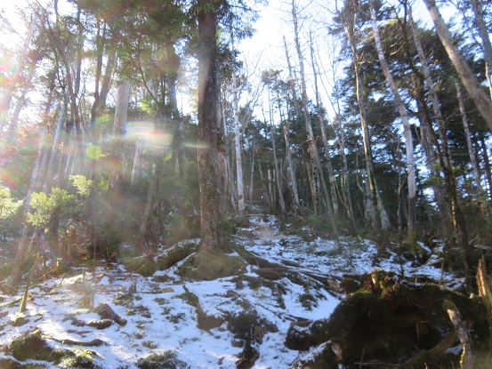 f:id:aohige0718:20171128232113j:plain f:id:aohige0718:20171128232113j:plain