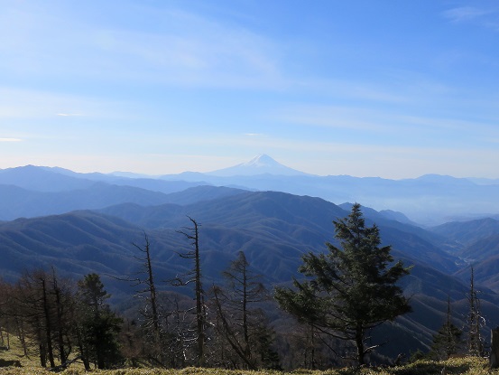 f:id:aohige0718:20171128232119j:plain 古礼山山頂からの眺め