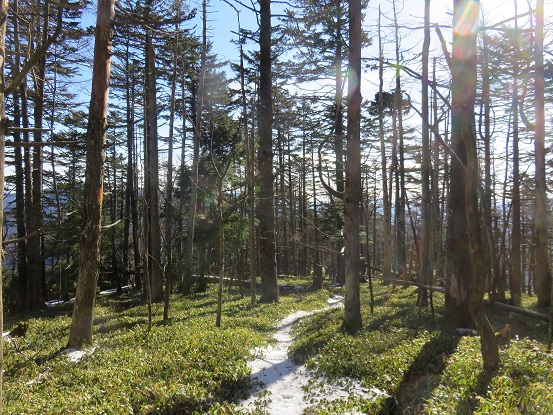 f:id:aohige0718:20171128232254j:plain 古礼山周辺雰囲気が良く