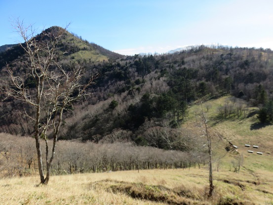 f:id:aohige0718:20171129210601j:plain 笠取山と雁峠