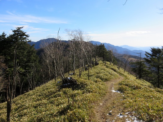 f:id:aohige0718:20171129221517j:plain 古礼山から燕山へ