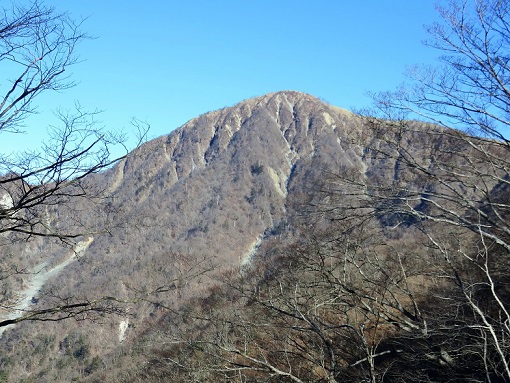 弁当沢ノ頭まで樹林帯歩き