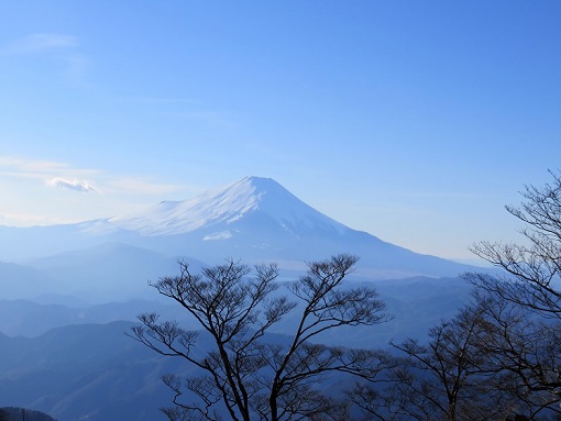 檜洞丸からの富士山の景色
