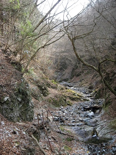 雨山峠からは下り