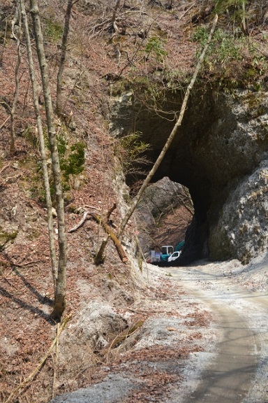 蛭ヶ岳南陵(南尾根)目指して進むと林道