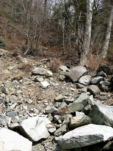 蛭ヶ岳南陵落石